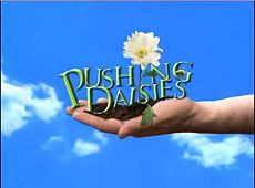 pushing_daisies_logo.jpg