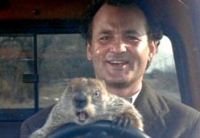 groundhog-day-driving
