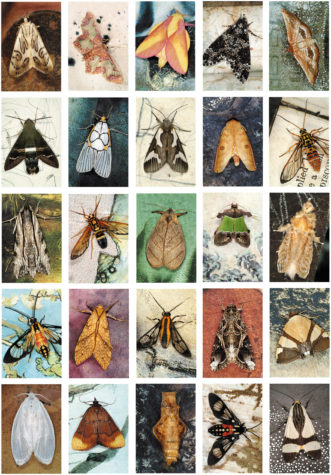 Emmet Gowin: Mariposas Nocturnas Index #44, Bolivia, 2011; from â€˜Hidden Likeness: Photographer Emmet Gowin at the Morgan,â€™ a recent exhibition at the Morgan Library and Museum. Gowinâ€™s new book, Mariposas Nocturnas: A Study of Diversity an